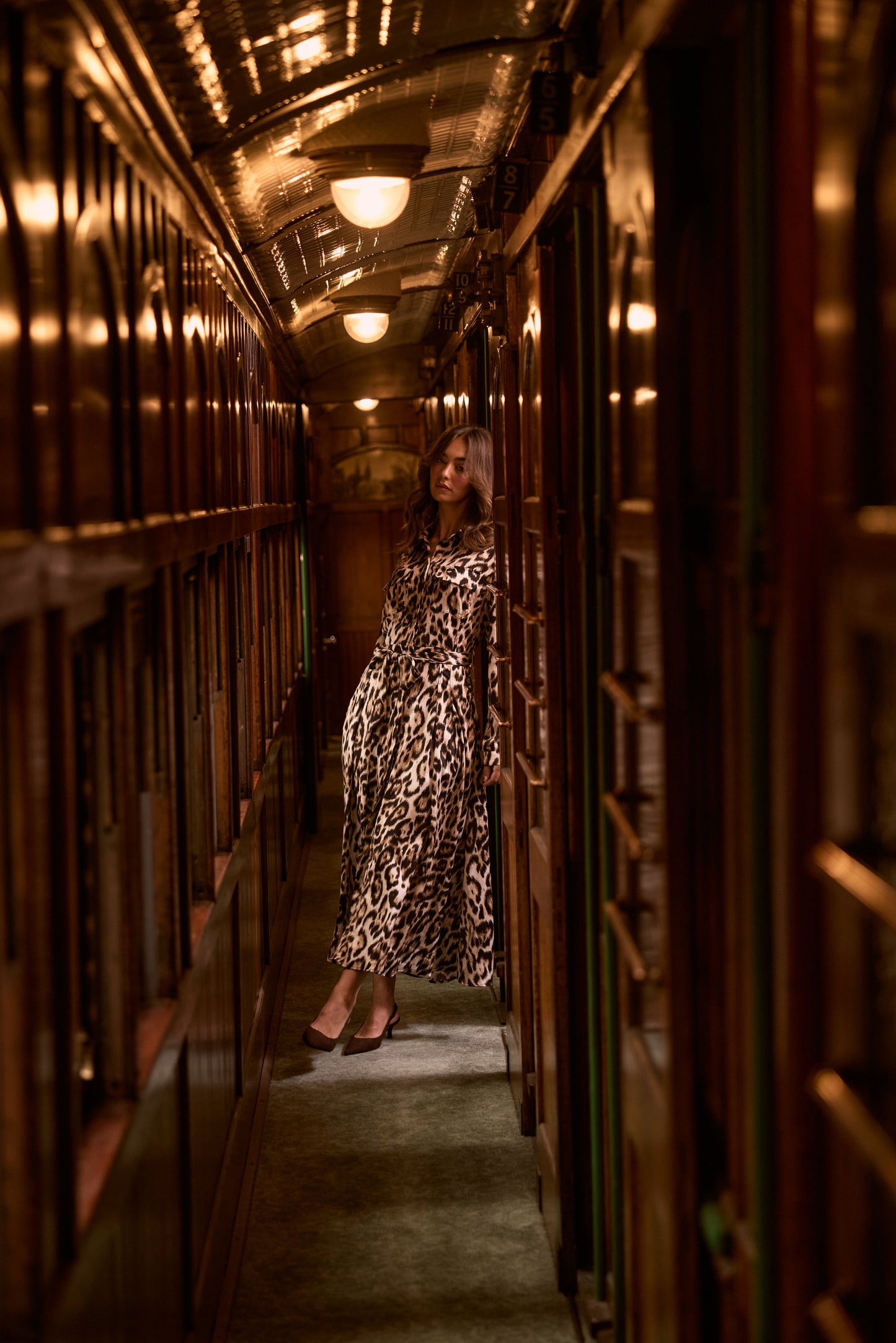 ROSSELLINI LONG SLEEVED DRESS