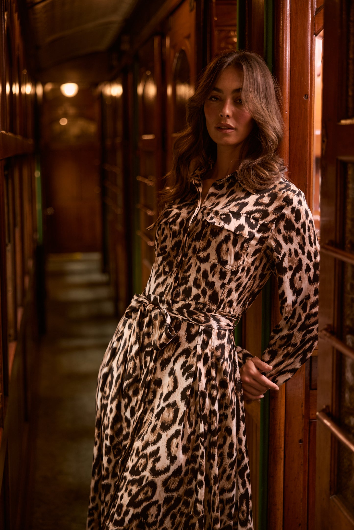 ROSSELLINI LONG SLEEVED DRESS